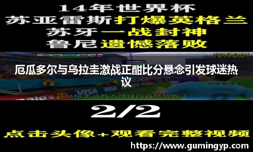 NG体育官方网站