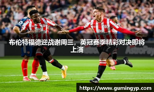 NG体育官网