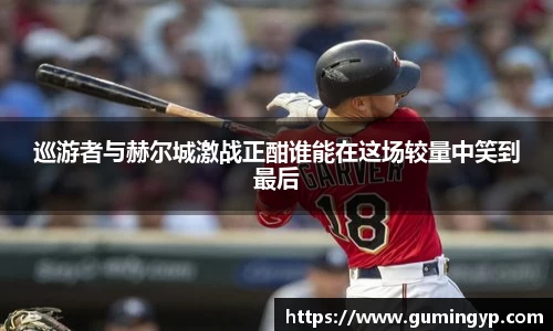 NG体育官网