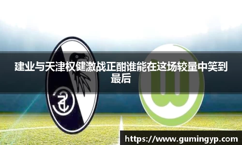 NG体育