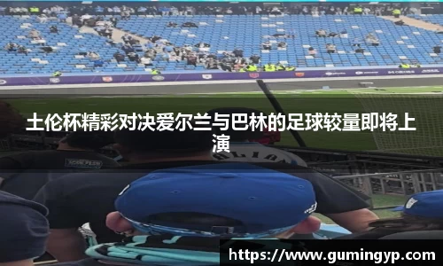 NG体育