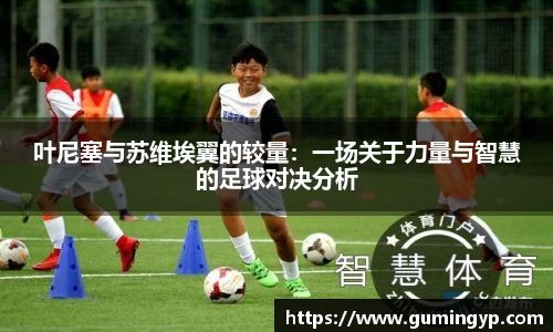 NG体育官网