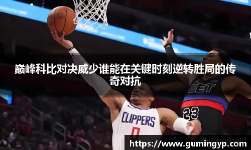 NG体育官网