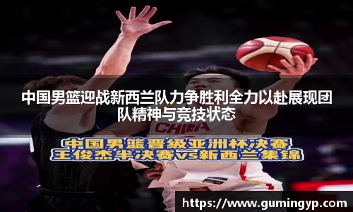 NG体育官方网站