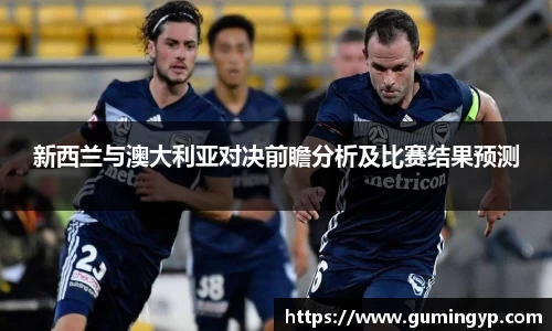 NG体育官网