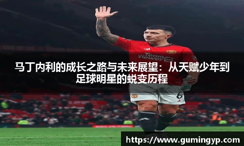 NG体育官网