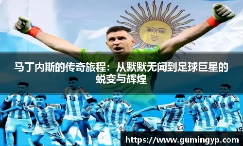 NG体育官网