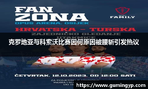克罗地亚与科索沃比赛因何原因被腰斩引发热议