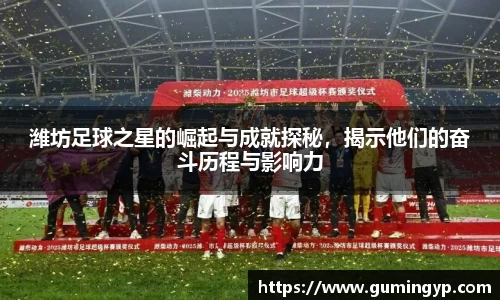 潍坊足球之星的崛起与成就探秘，揭示他们的奋斗历程与影响力