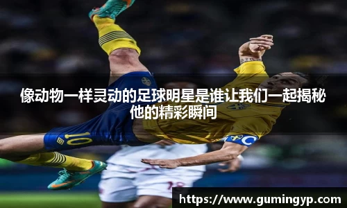像动物一样灵动的足球明星是谁让我们一起揭秘他的精彩瞬间