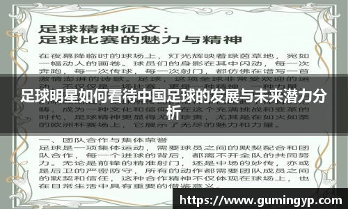 足球明星如何看待中国足球的发展与未来潜力分析