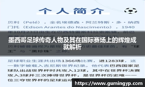 NG体育官方网站