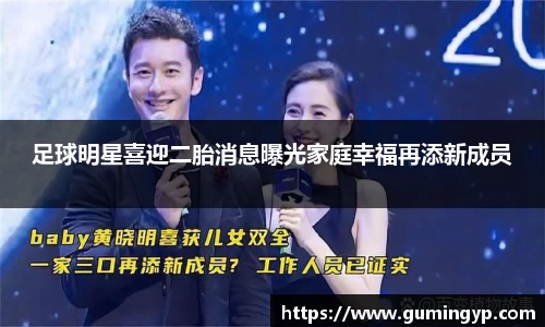 NG体育官方网站